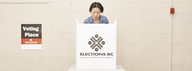 Photo of a voter behind a secrecy screen